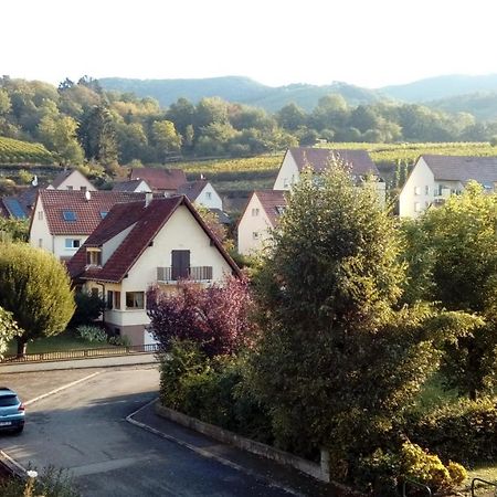 Marcia Donatti - A L'Ombre Des Coteaux Sao Paulo Hotel Kaysersberg-Vignoble Buitenkant foto