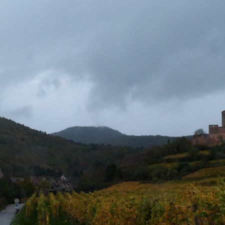 Marcia Donatti - A L'Ombre Des Coteaux Sao Paulo Hotel Kaysersberg-Vignoble Buitenkant foto