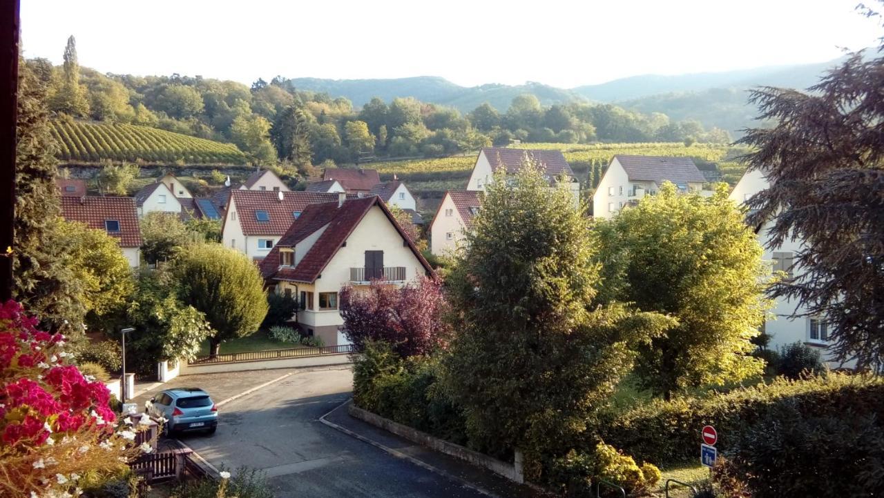 Marcia Donatti - A L'Ombre Des Coteaux Sao Paulo Hotel Kaysersberg-Vignoble Buitenkant foto