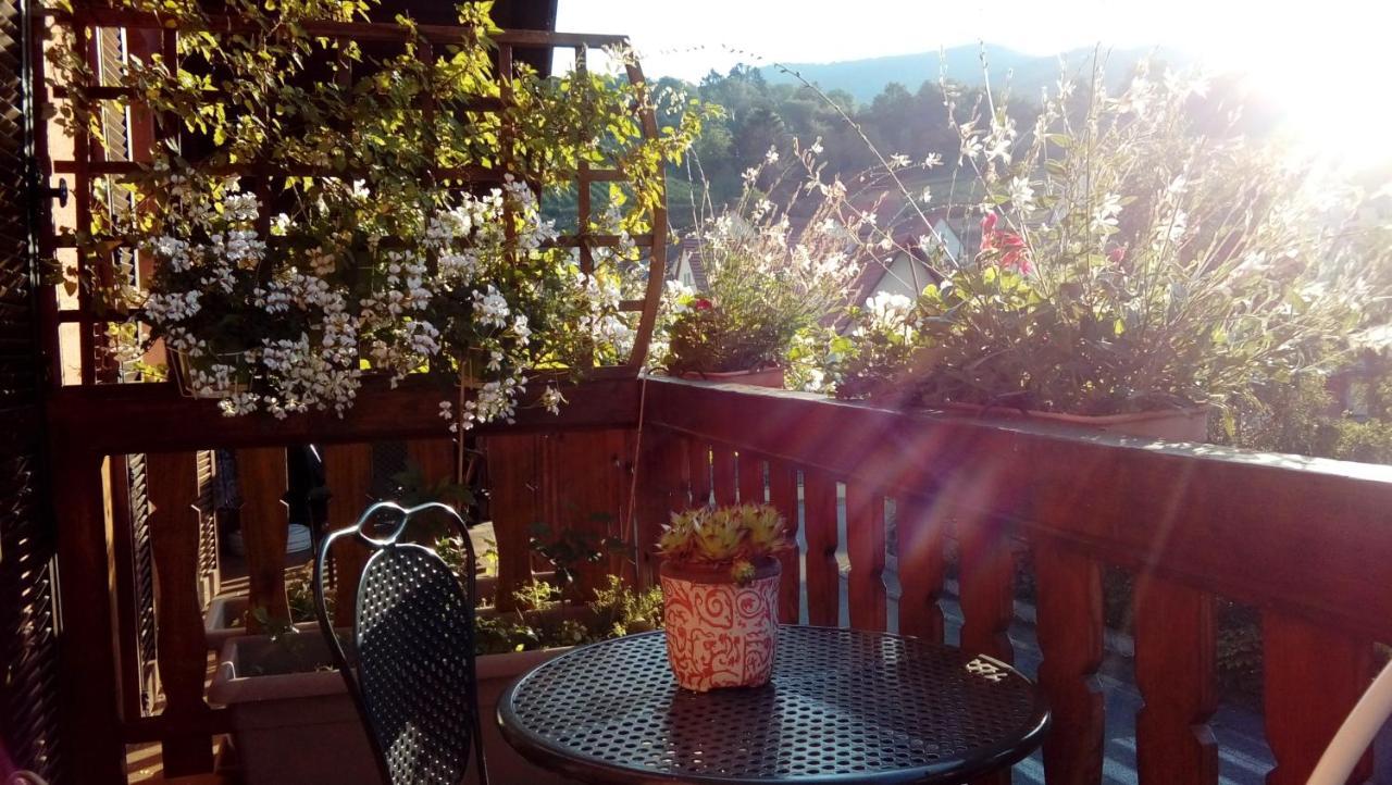 Marcia Donatti - A L'Ombre Des Coteaux Sao Paulo Hotel Kaysersberg-Vignoble Buitenkant foto