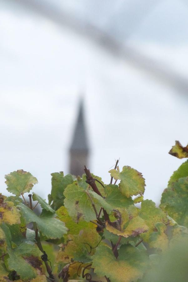 Marcia Donatti - A L'Ombre Des Coteaux Sao Paulo Hotel Kaysersberg-Vignoble Buitenkant foto