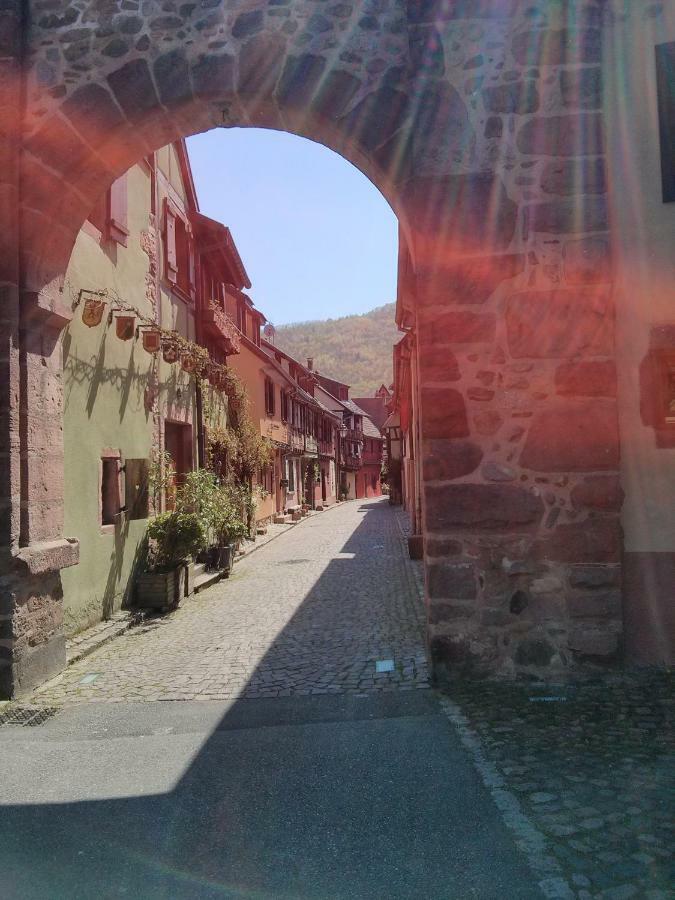 Marcia Donatti - A L'Ombre Des Coteaux Sao Paulo Hotel Kaysersberg-Vignoble Buitenkant foto