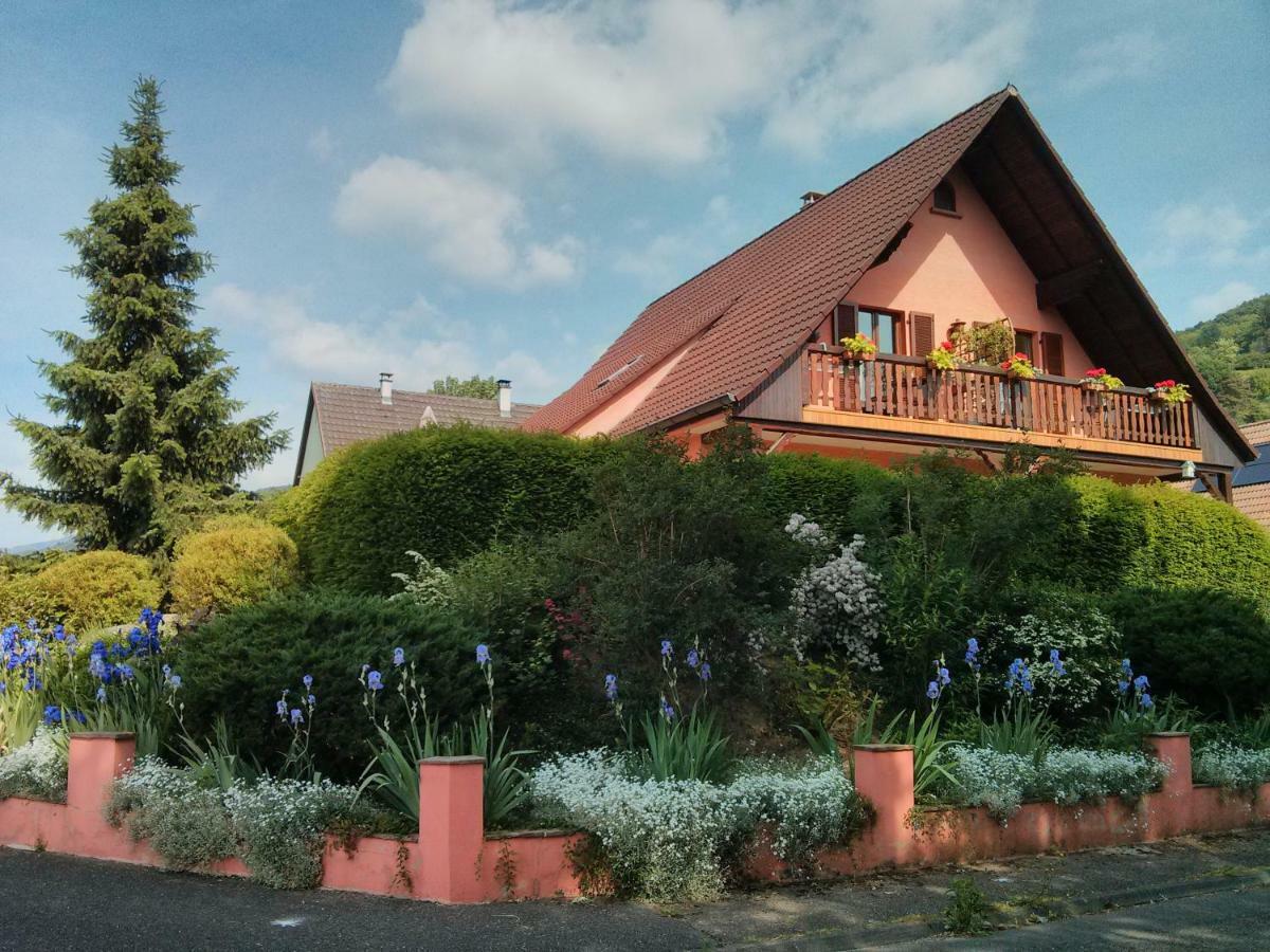 Marcia Donatti - A L'Ombre Des Coteaux Sao Paulo Hotel Kaysersberg-Vignoble Buitenkant foto