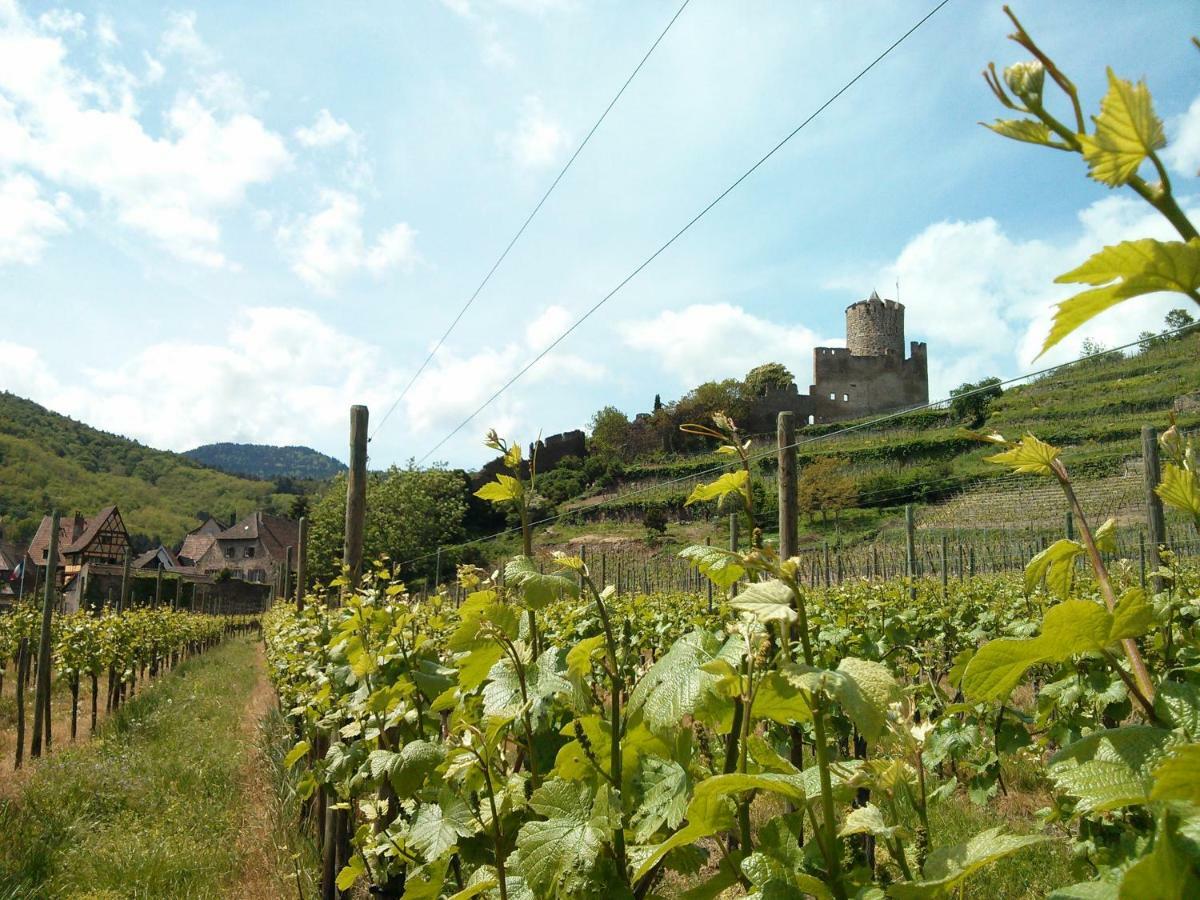 Marcia Donatti - A L'Ombre Des Coteaux Sao Paulo Hotel Kaysersberg-Vignoble Buitenkant foto